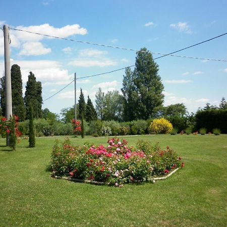 Villa Jolanda Fratte Rosa Exterior foto